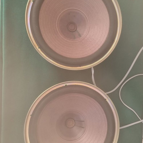 Roselson AF 10 NG speakers, Spanish made