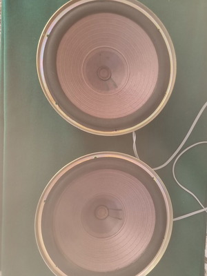 Roselson AF 10 NG speakers, Spanish made