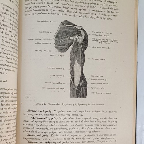 Anatomy of Man used, 1914, by N.P. Michalakeas