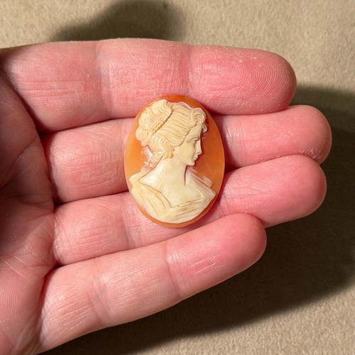 Old cameo with beautiful carving like new