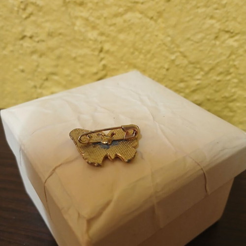 Butterfly brooch used with enamel in gold color