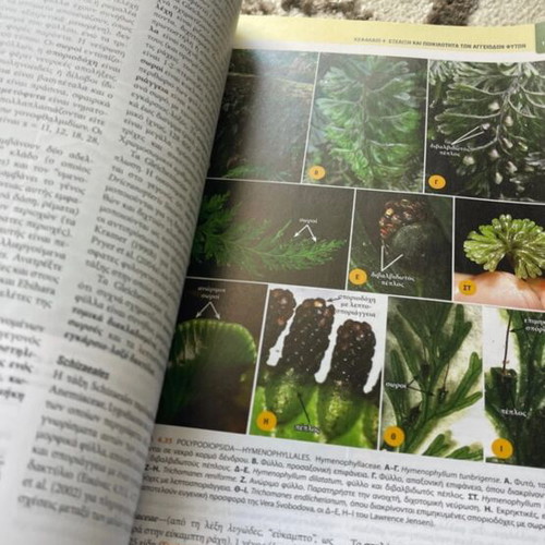 Book Systematic of Plants new university biology