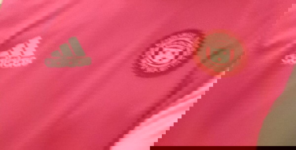 Φανέλα εμφάνιση Χάμιλτον Ακαντεμικαλς Μ