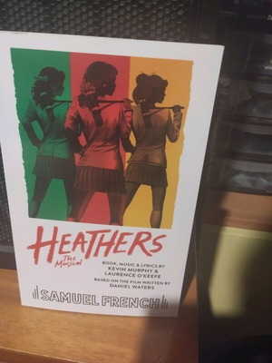 Heathers musical book new, the story from the musical's perspective