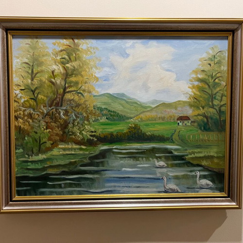 Artistic Landscape Lake and Nature like new