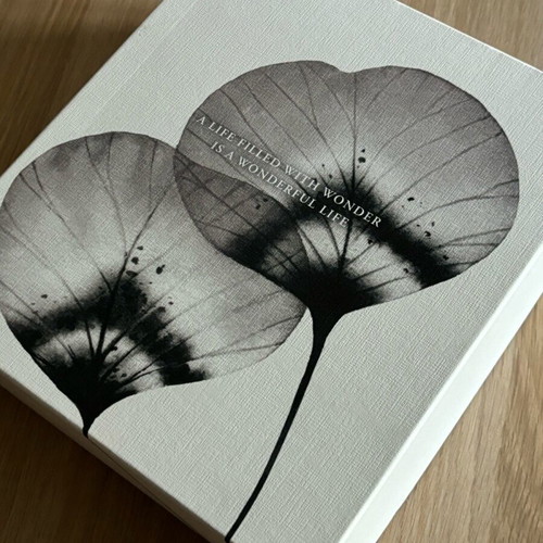 Gift and storage box new, size 23cm x 26cm