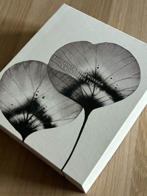 Gift and storage box new, size 23cm x 26cm