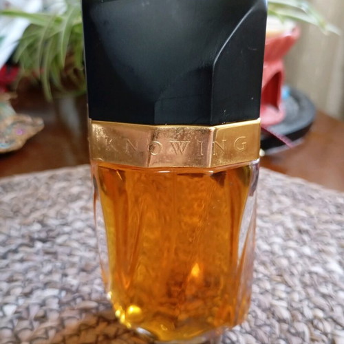 Estée Lauder Knowing perfume like new, vintage winter scent