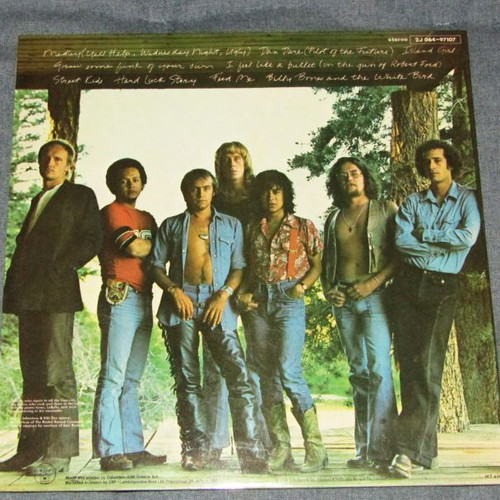 Elton John Rock of the Westies vinyl record used, rock genre