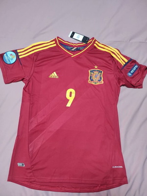 Spain National Team Jersey 2012-2013 Fernando Torres large like new