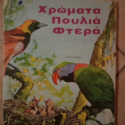 Colors Birds Feathers book like new