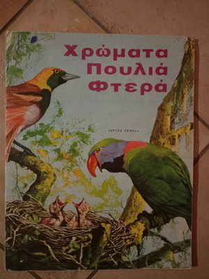 Colors Birds Feathers book like new