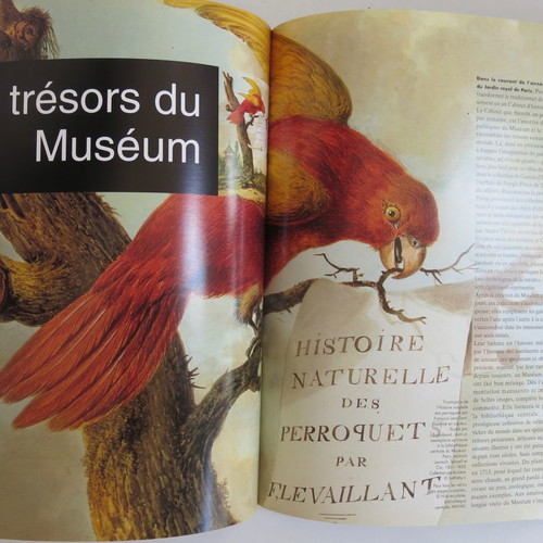 Beaux Arts magazine used for National Museum of Natural History 1994