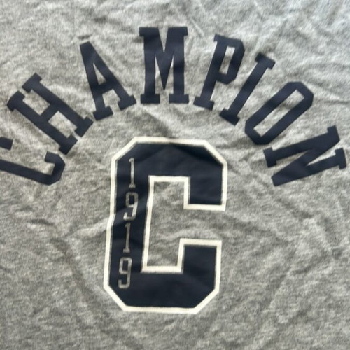 Champion kids T-shirt new, size L, grey