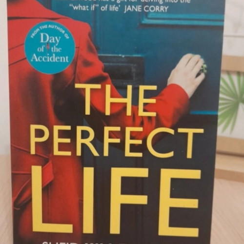 The Perfect Life psychological thriller book