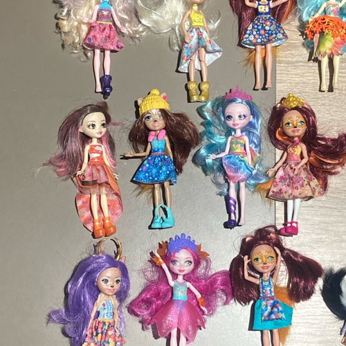 Mattel Enchantimals 14 dolls used, pack