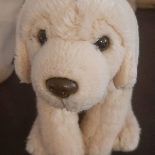 Plush dog like new