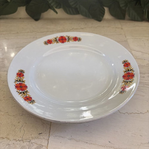 Vintage dinner plates with floral pattern, set of 2, 24 cm