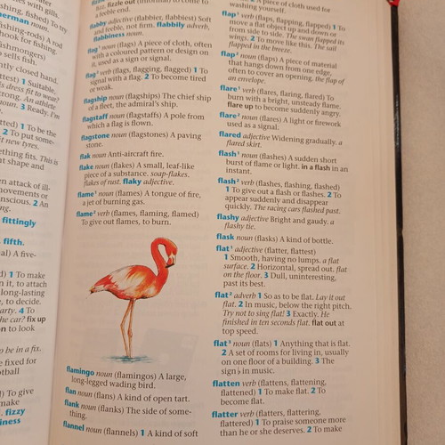 Oxford Children's Dictionary 1994, αγγλικό