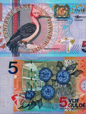 Suriname 5 Dollars 2000 banknote new