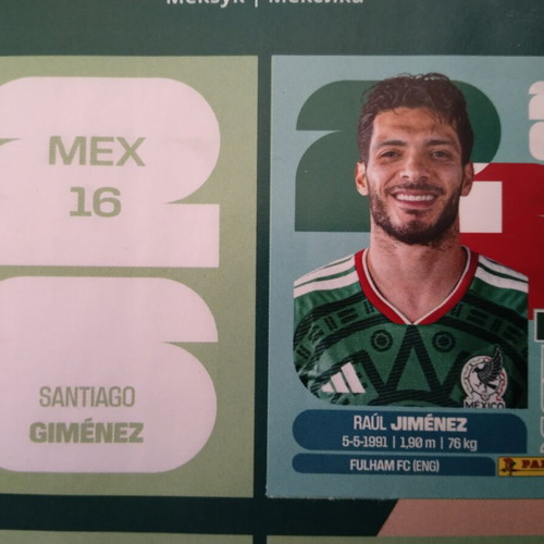 FIFA World Cup stickers, new