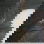  Μπουφάν μοτοσικλέτας Mohawk XXXL 60-62