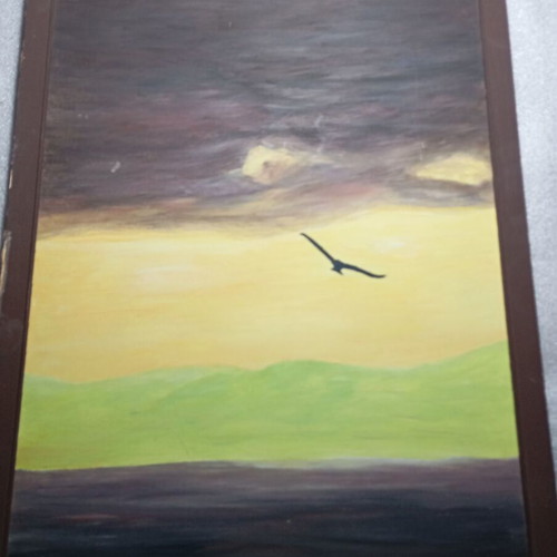Painting "Seagull at Sunset" used, acrylic on canvas