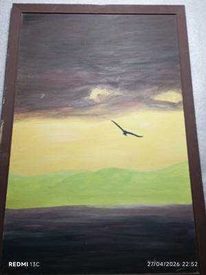 Painting "Seagull at Sunset" used, acrylic on canvas
