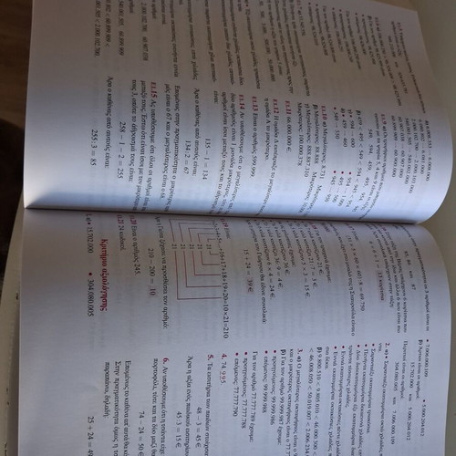 Savvalas Mathematics Grade 5 textbook like new