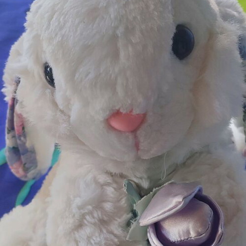 Stuffed bunny used with flower