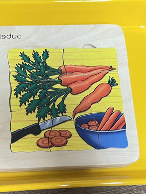 Wooden Montessori Puzzle The Life Cycle of a Carrot new