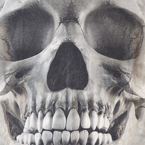 The Mountain t-shirt Big Face Skull by David Penfound size S like new