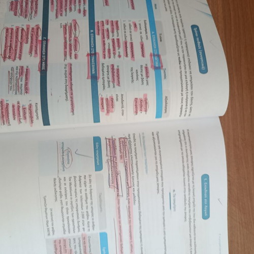 Nea Ellinika G Lykeiou Essay Guide with Solutions used