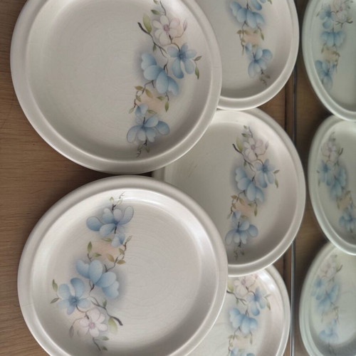 Vintage pasta plates with beautiful design like new