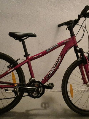 Mountain Marin 24'' Kids Bike used with 21 speeds and front suspension