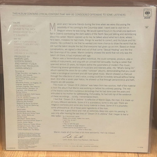 Marvin Gaye Dream of a Lifetime vinyl like new, R&B / Soul