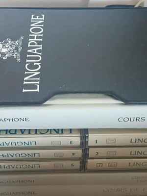 French Learning System and Dictionary used