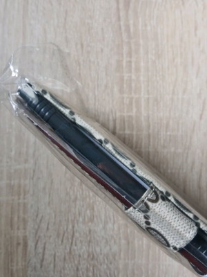 Diary new with pen