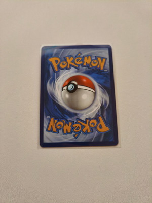 Mega Manectric EX Pokemon Mega Evolution card new