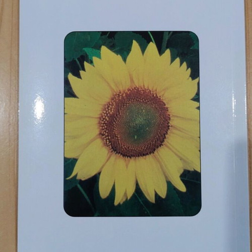 Biomass Energy Crops new book