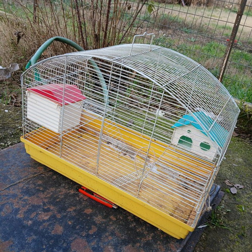 Hamster cage used with houses, water bottle and ladder