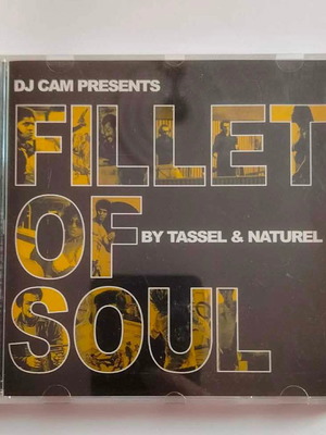 Fillet Of Soul CD like new, electronic music