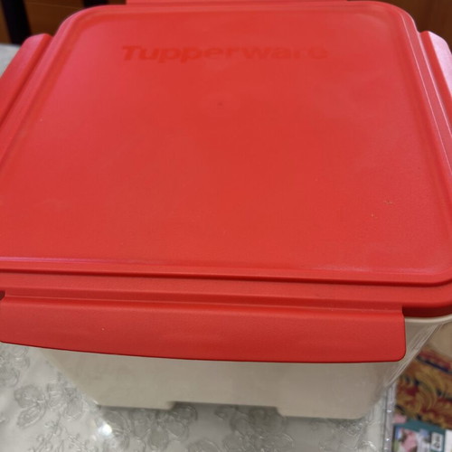 Tupperware plastic container new