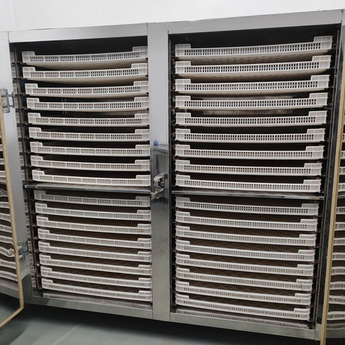 Food dryer like new inox with automation and touch screen