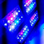  KingBo LED Grow Lights