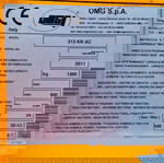  ΗΛΕΚΤΡΙΚΟ ΠΑΛΕΤΟΦΩΡΟ OMG 313 KN AC