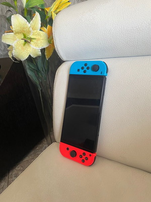 Nintendo Switch1