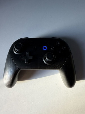 Nintendo Switch Pro Controller