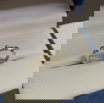  ασημένιο βερακι με χρυσές λεπτομέρειες