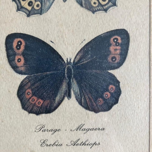 Decorative frame used 20cm x 26cm with butterfly print